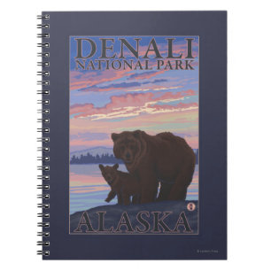 Carnet Bear and Cub - Denali National Park, Alaska
