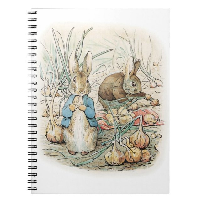 Carnet Beatrix Potter Peter Rabbit Et Benjamin Bunny (Devant)