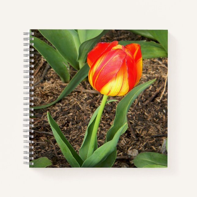 Carnet Beau au printemps.... (Devant)