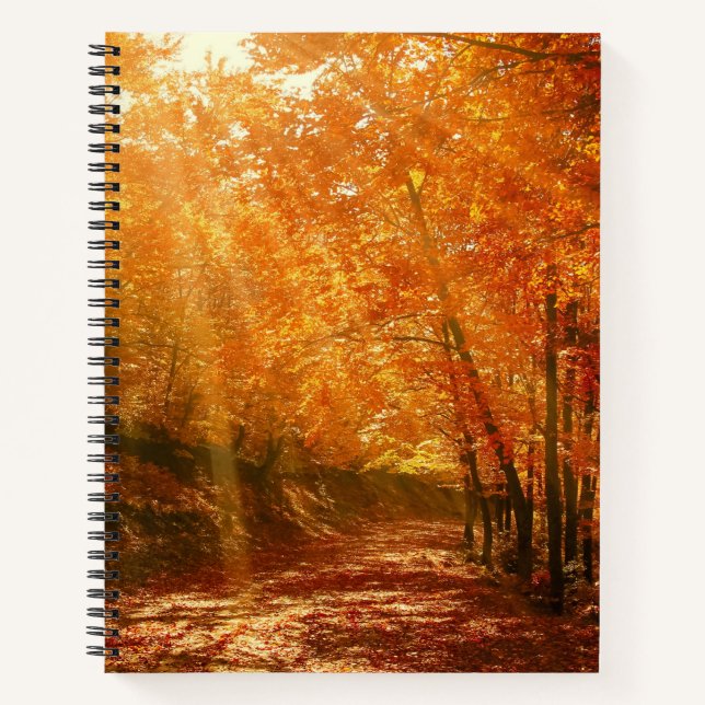 Carnet Beau automne (Devant)