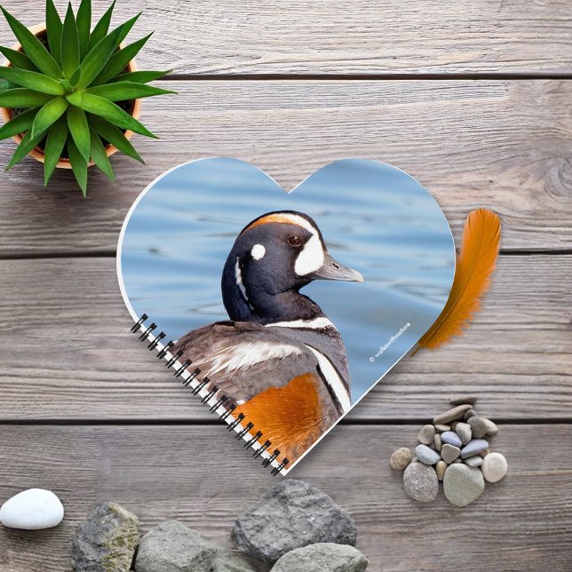 Carnet Beau canard arlequin sur le rocher (Beautiful Harlequin Duck at the Beach Journal Cover Photo)