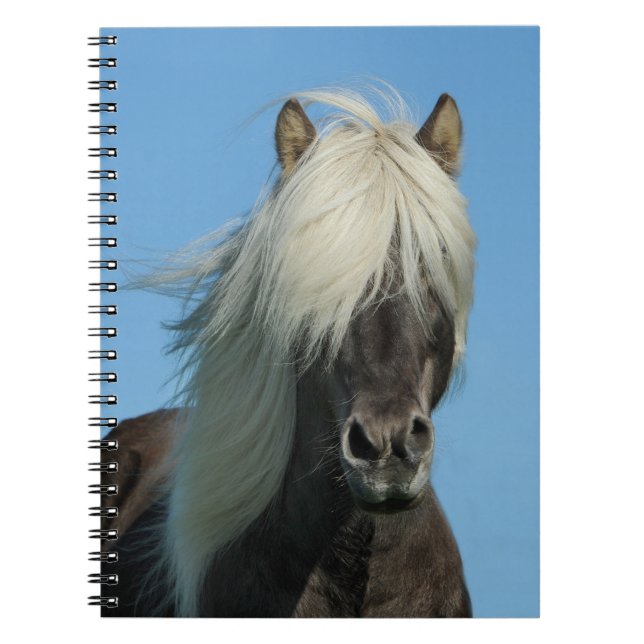 Carnet Beau Cheval (Devant)