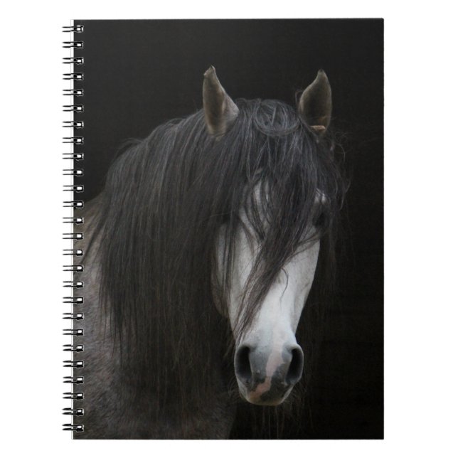 Carnet Beau Cheval (Devant)
