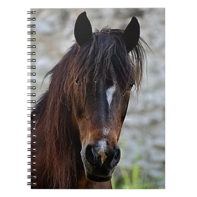 Carnet Beau cheval Brown (Devant)