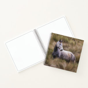 Carnet Beau cheval de couleur grise