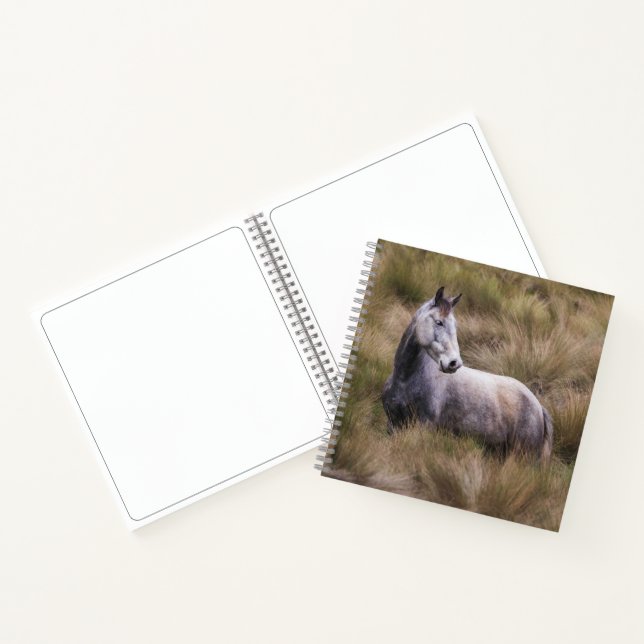 Carnet Beau cheval de couleur grise (Intérieur)