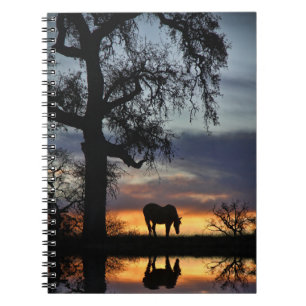 Carnet Beau Cheval et eau au coucher du soleil