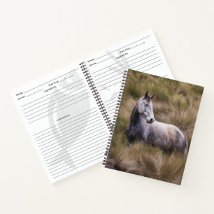 Carnet Beau cheval gris couleur
