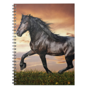 Carnet Beau Cheval Noir