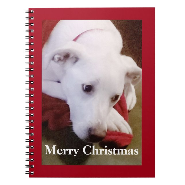 Carnet Beau Chien Noël Rouge Blanche Neigeux (Devant)
