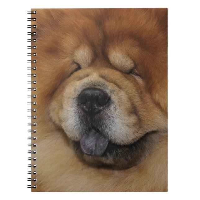 CARNET BEAU CHOW CHOW CHOW CHOG ROUGE FLUFFÉ (Devant)