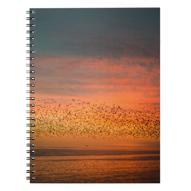 CARNET BEAU COUCHER DE SOLEIL AVEC OISEAUX (Devant)