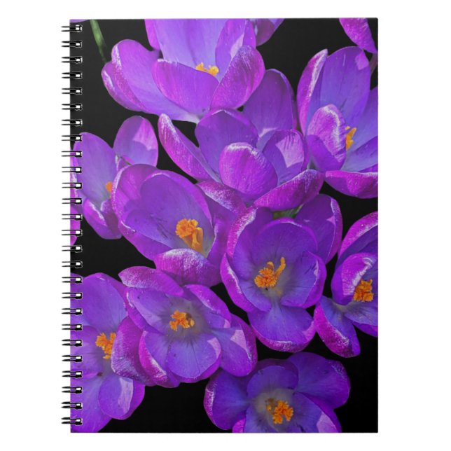 Carnet Beau Crocus de printemps violet Floral (Devant)
