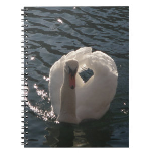 Carnet Beau cygne blanc