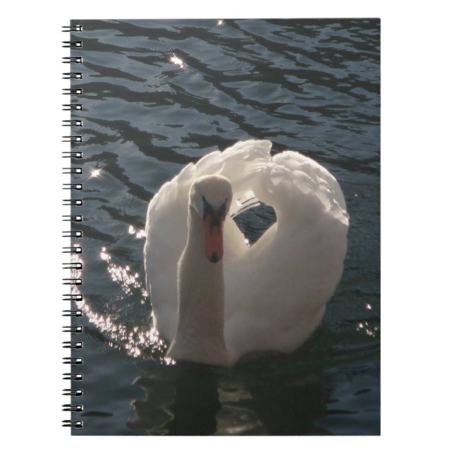 Carnet Beau cygne blanc (Devant)