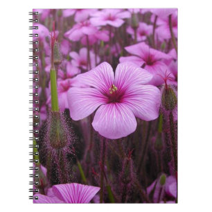 Carnet Beau floral