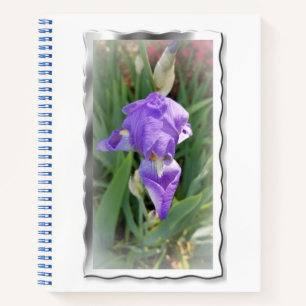 Carnet Beau Iris Bleu Clair