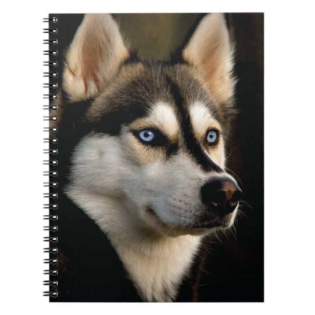 Carnet Beau Oreiller Husky Lrow (Devant)
