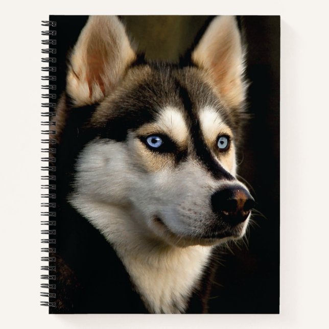 Carnet Beau Oreiller Husky Lrow (Devant)
