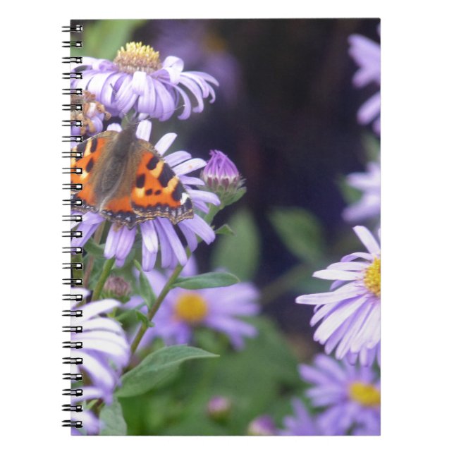Carnet Beau Papillon Sur Fleurs (Devant)