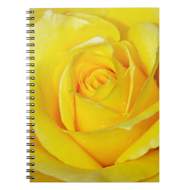 Carnet Beau pétales de rose jaune (Devant)