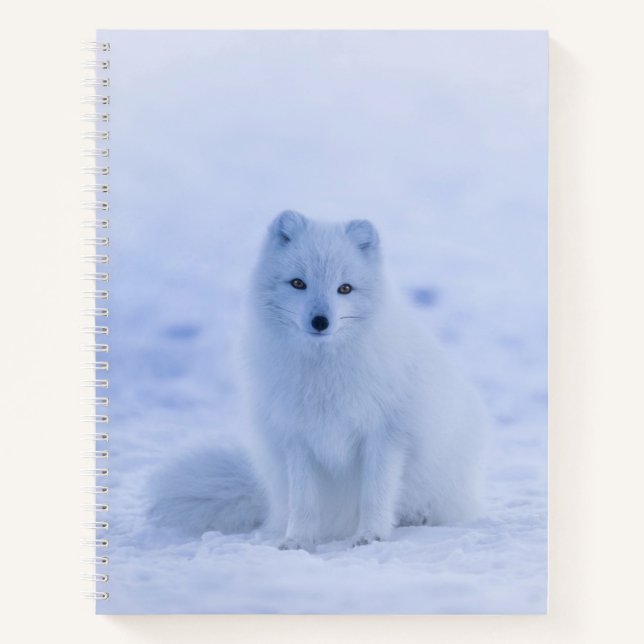 Carnet Beau renard arctique (Devant)