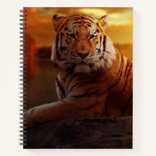Carnet Beau tigre