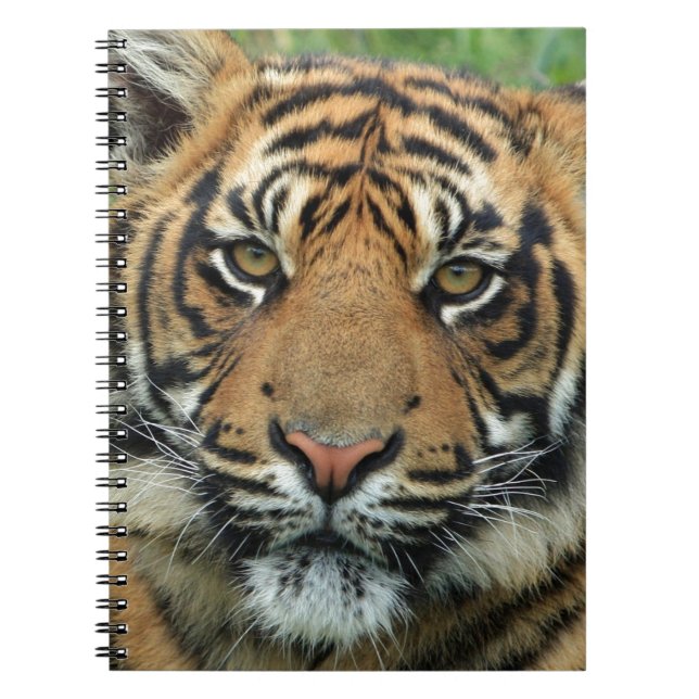 Carnet Beau tigre (Devant)