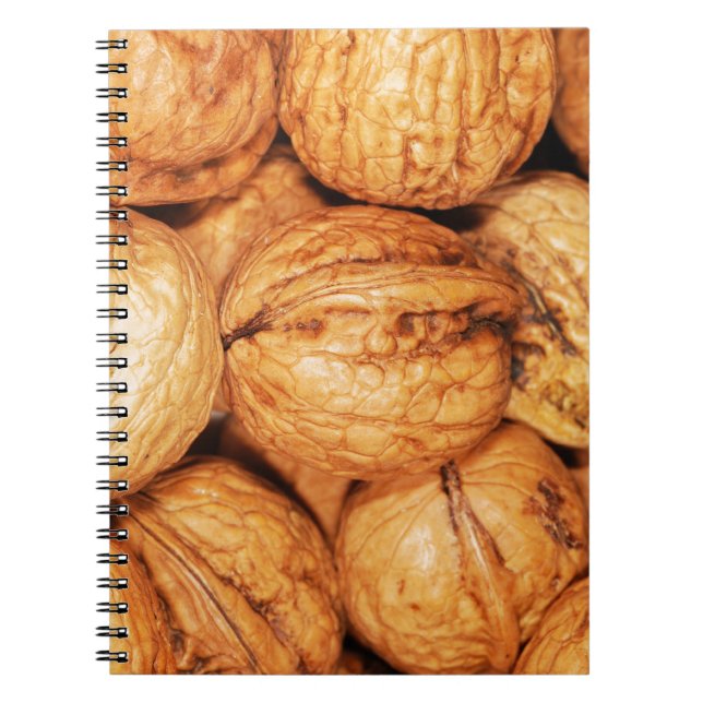 Carnet Beaucoup de noix dans les coquilles (Devant)