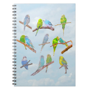 Carnet Beaucoup de perroquets colorés - petits oiseaux mi