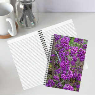 Carnet Beauté américaine pourpre Botanique