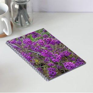 Carnet Beauté botanique américaine pourpre