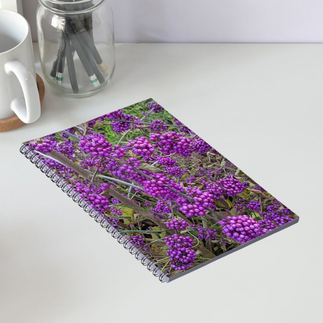 Carnet Beauté botanique américaine pourpre (In Situ)