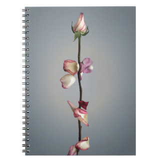 Carnet Beauté Rose moderne et sentiment de bête