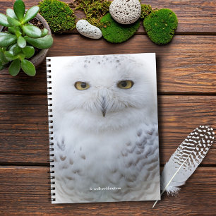 Carnet Beautiful, Dreamy and Serene Snowy Owl