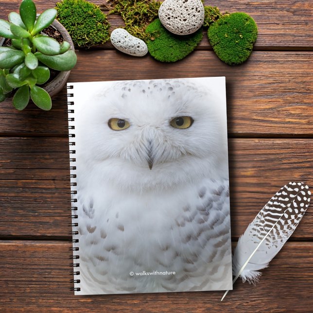 Carnet Beautiful, Dreamy and Serene Snowy Owl (Beautiful and Serene Snowy Owl Journal Cover Photo)