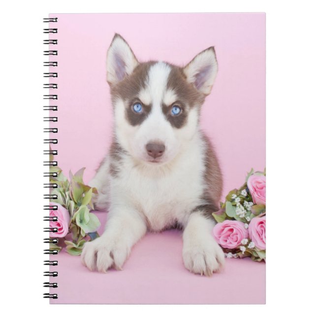Carnet Beautiful Husky (Devant)