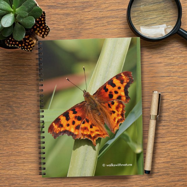 Carnet Beautiful Orange Satyr Comma Butterfly (Orange Comma Satyr Butterfly in the Marsh Journal Cover Photo)