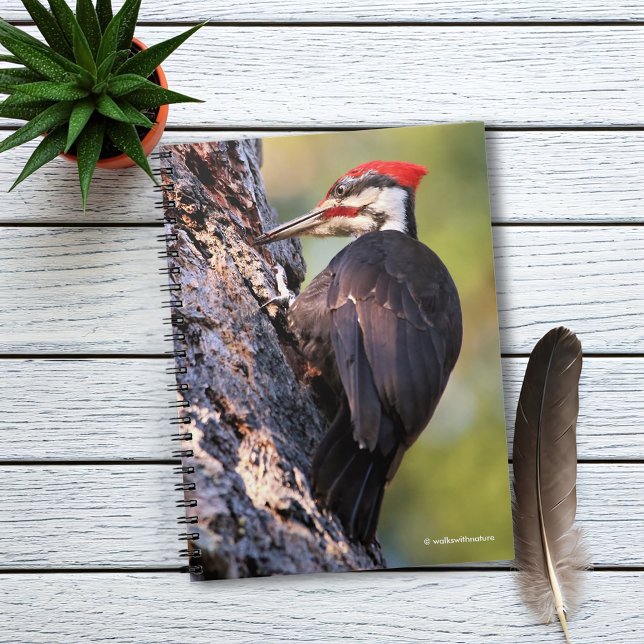 Carnet Beautiful Pileated Woodpecker on the Tree (Pileated Woodpecker on the Tree Journal Cover Photo)