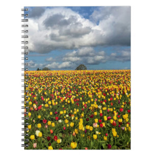 Carnet Beautiful Tulip Field