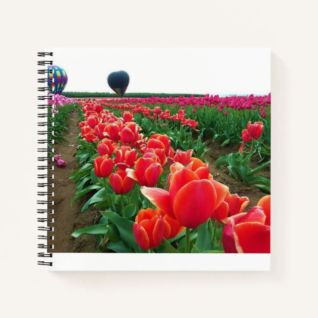 Carnet Beautiful Tulip Field (Devant)