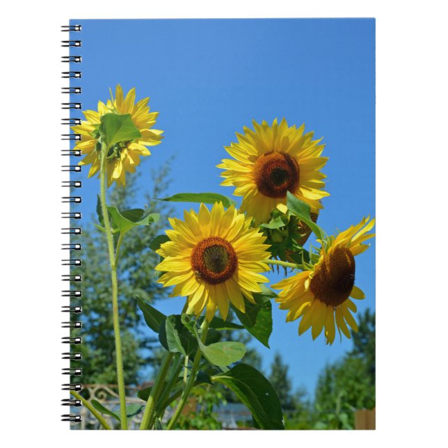 Carnet Beaux tournesols jaunes (Devant)