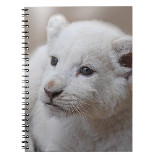 Carnet Bébé blanc de bébé de six semaines (Devant)