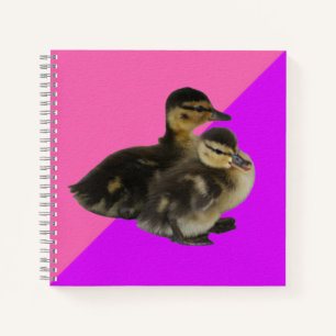 Carnet Bébé Canards sur framboise rose et sorbet pourpre
