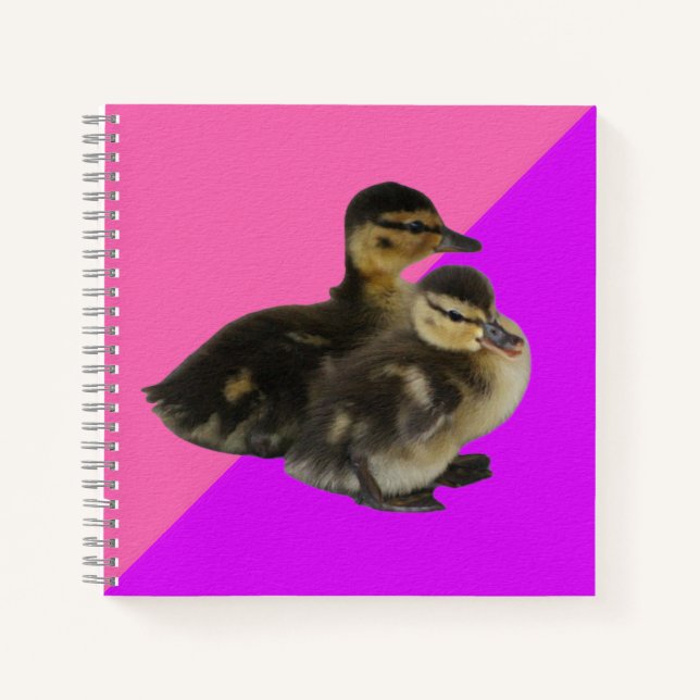 Carnet Bébé Canards sur framboise rose et sorbet pourpre (Devant)