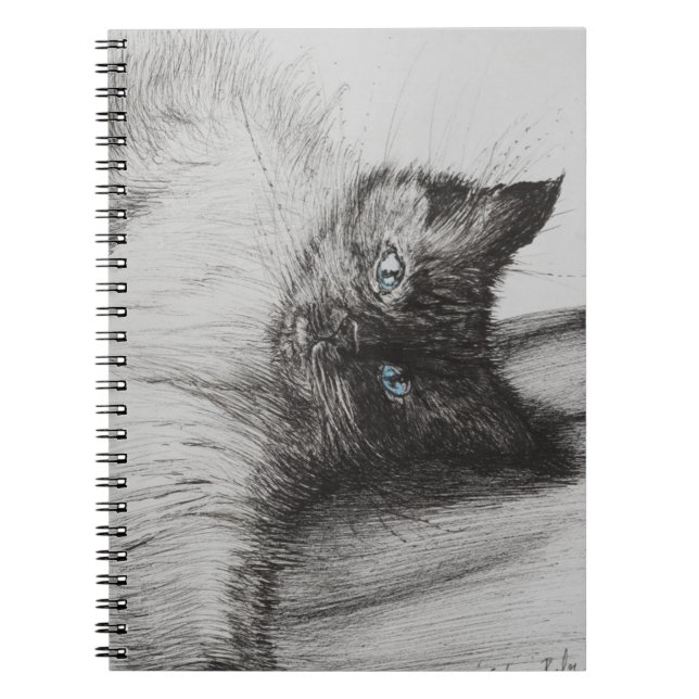 Carnet Bébé effronté (Devant)