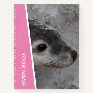 Carnet Bébé Otarie Nouveau-né Gros Plan Australie, Rose