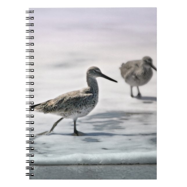Carnet Bécasseaux (Devant)