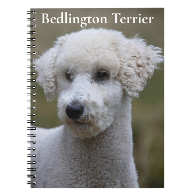 Carnet Bedlington Terrier (Devant)