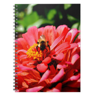 Carnet Bee and coral zinnia